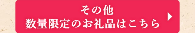 ◎その他 数量限定のお礼品はこちら◎
