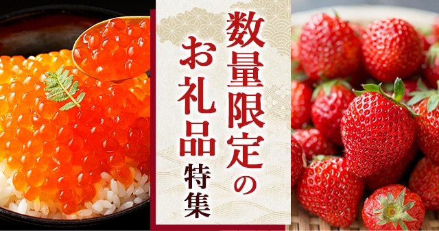 なくなり次第受付終了してしまう数量限定のお礼品をご紹介します♪