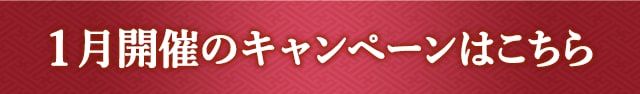 1月開催のキャンペーンはこちら