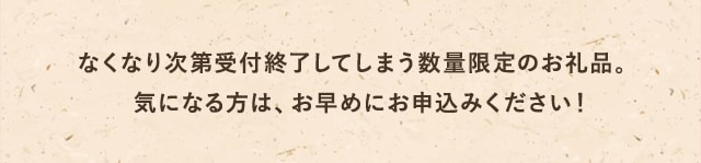 なくなり次第受付終了してしまう数量限定のお礼品。
            気になる方は、お早めにお申込みください！