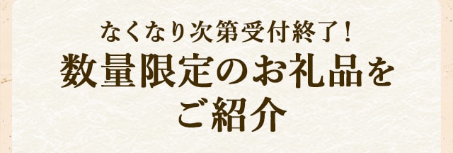 なくなり次第受付終了！数量限定のお礼品をご紹介
