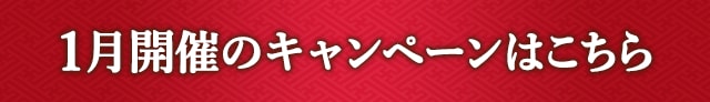 1月開催のキャンペーンはこちら