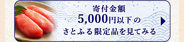 ★寄付金額5,000円以下のさとふる限定品★