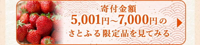 ☆寄付金額5,001円～7,000円のさとふる限定品☆