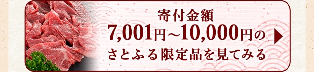 ★寄付金額7,001円～10,000円のさとふる限定品★