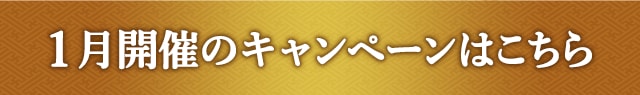 1月開催のキャンペーンはこちら