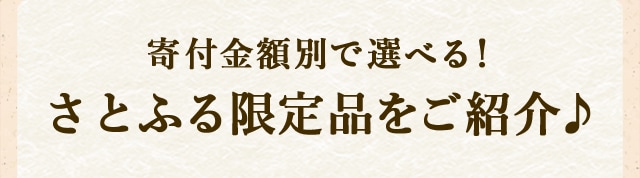 寄付金額別で選べる！さとふる限定品をご紹介♪