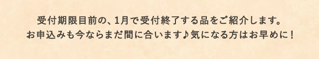 受付期限目前の、1月で受付終了する品をご紹介します。
            お申込みも今ならまだ間に合います♪