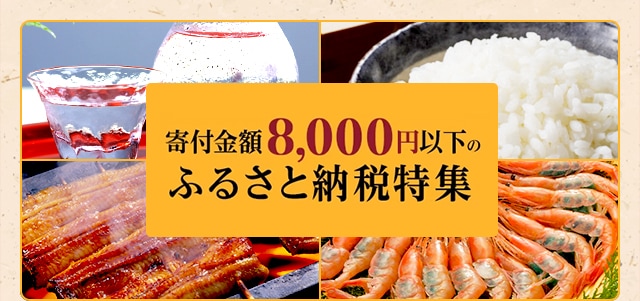 種類が豊富な寄付金額8,000円以下のふるさと納税のお礼品なら、さまざまなニーズにお応えできます！