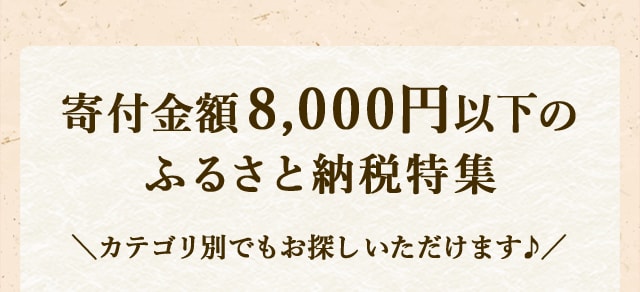 寄付金額8,000円以下のふるさと納税特集＼カテゴリ別でもお探しいただけます♪／