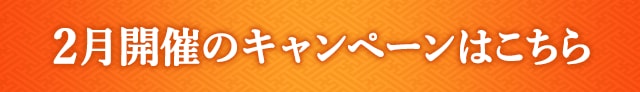 2月開催のキャンペーンはこちら