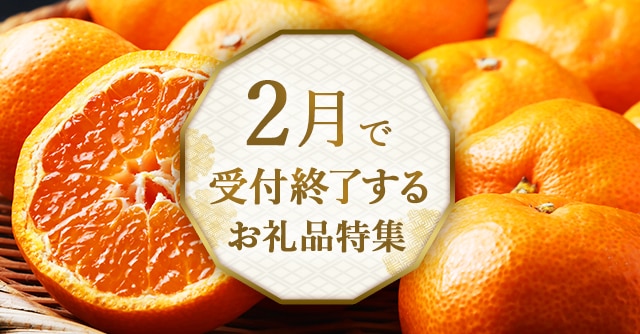 ＼申込み期限目前！気になる方はお早めに♪／2月で受付終了するお礼品をご紹介します。