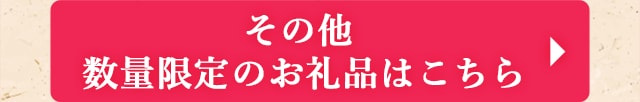 ◎その他 数量限定のお礼品はこちら◎
