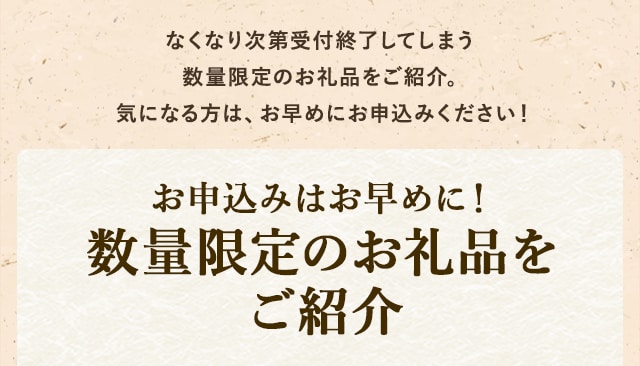 なくなり次第受付終了してしまう数量限定のお礼品。
            気になるお礼品があったら、早めのお申込みがおすすめです。