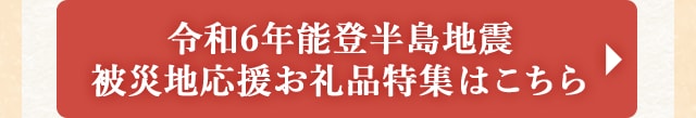令和6年能登半島地震 被災地応援お礼品特集はこちら