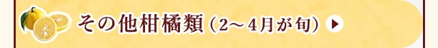 ◇２～４月が旬！《その他柑橘類》
