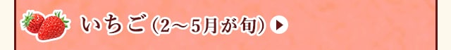 ◇２～５月が旬！《いちご》