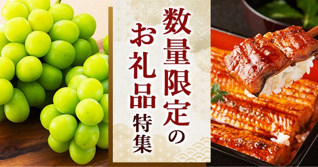 ＼早めのお申込みがおすすめ／なくなり次第受付終了する数量限定のお礼品をご紹介します。