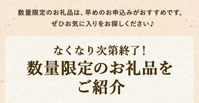 数量限定のお礼品は、早めのお申込みがおすすめです。ぜひお気に入りをお探しください♪