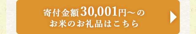 ☆寄付金額30,001円以上のお米のお礼品☆