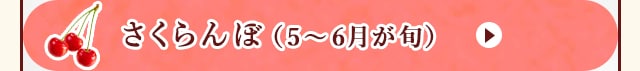 ◇５～６月が旬！《さくらんぼ》