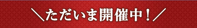 \ただいま開催中/