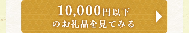 ★10,000円以下のお礼品★