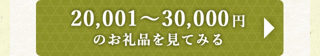 ★20,001～30,000円のお礼品★