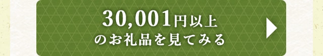 ☆30,001円以上のお礼品☆