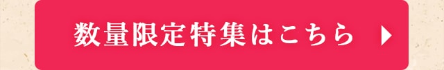◎数量限定特集はこちら◎