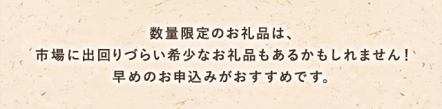 数量限定のお礼品は、早めのお申込みがおすすめです。在庫限りのお礼品の中には、市場に出回りづらい希少なお礼品もあるかもしれません！