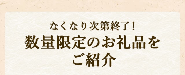 なくなり次第終了！数量限定のお礼品をご紹介