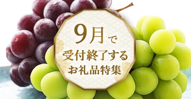 お申込みはお早めに！９月で受付終了するお礼品特集
