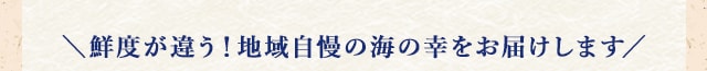 ＼鮮度が違う！地域自慢の海の幸をお届けします／