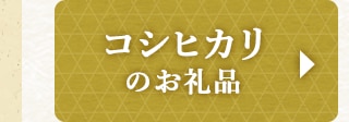 ★コシヒカリのお礼品★
