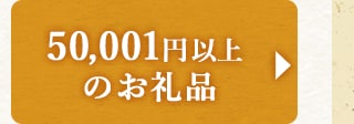 ★50,001円以上のお礼品★