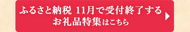 ◎ふるさと納税 11月で受付終了するお礼品特集はこちら◎