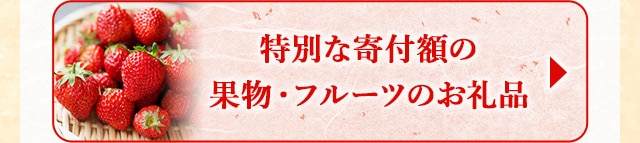 ★特別な寄付額の果物・フルーツのお礼品★