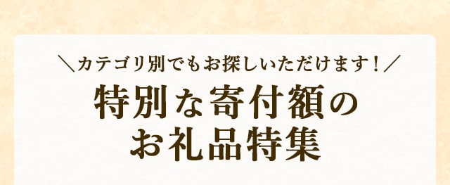 ＼カテゴリ別でもお探しいただけます！／特別な寄付額のお礼品特集