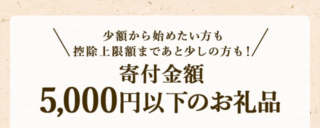 少額から始めたい方も控除上限額まであと少しの方も！寄付金額5,000円以下のお礼品