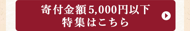 寄付金額5,000円以下特集はこちら
