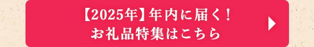 ◎【2025年】年内に届く！お礼品特集はこちら◎