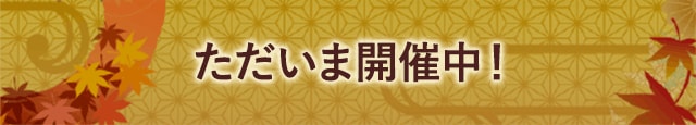注目！【ただいま開催中！】