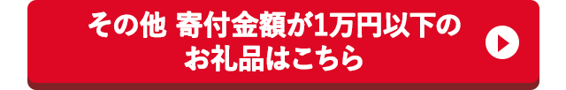 その他 寄付金額が1万円以下のお礼品はこちら