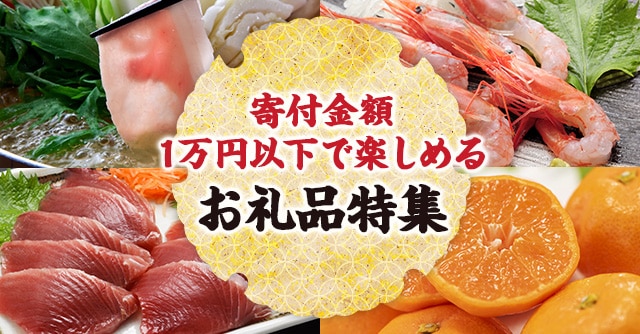 寄付金額1万円以下で楽しめるお礼品