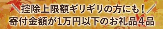 ＼控除上限額ギリギリの方にも！／寄付金額が1万円以下のお礼品４品