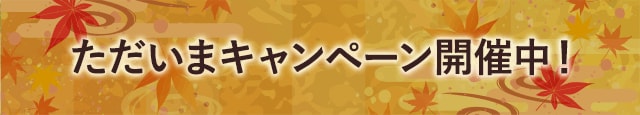 ただいまキャンペーン開催中！