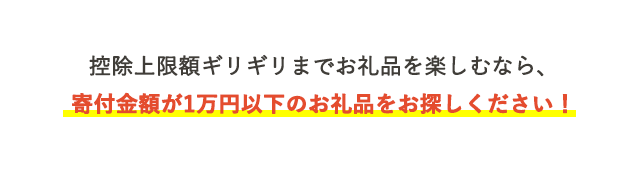 控除上限額ギリギリまでお礼品を楽しむなら、寄付金額が1万円以下のお礼品をお探しください！