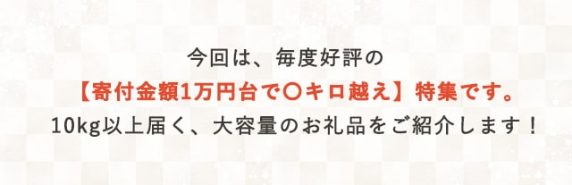 今回は、毎度好評の【寄付金額1万円台で〇キロ越え】特集です。10kg以上届く、大容量のお礼品をご紹介します！