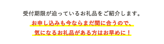 今回は、受付期限が迫っているお礼品をご紹介します。人気ジャンルのお礼品の中にも、受付期限が迫っているものが多数ございます。